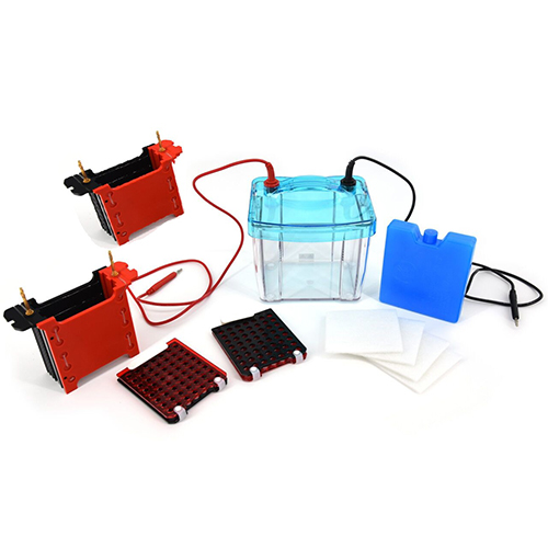 DYCZ-40S型四板轉印電泳儀