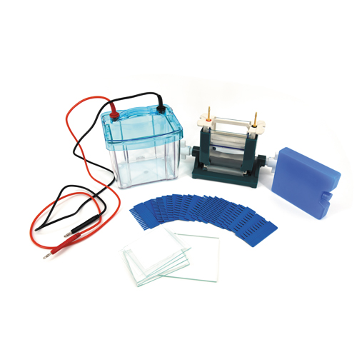 北京六一DYCZ-25D雙垂直電泳儀 DYCZ-24DN升級版 電泳槽