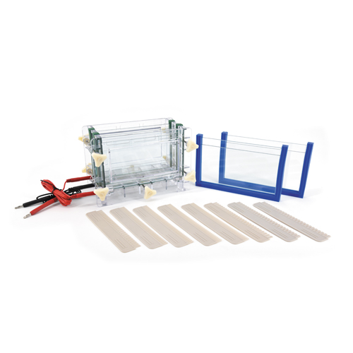 北京六一DYCZ-30C雙板夾芯式垂直電泳儀電泳槽 蛋白凝膠電泳