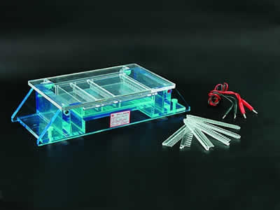 北京六一瓊脂糖水平電泳儀電泳槽DYCP-33A